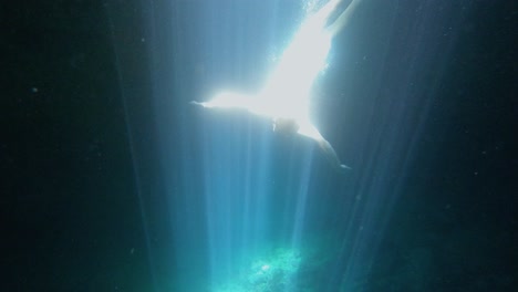 a diver is plunging into the vast aquatic world, revealing the magic of his deep-sea journey by absorbing the view of sunlight and creating enchanting mirages in the crystal-clear water