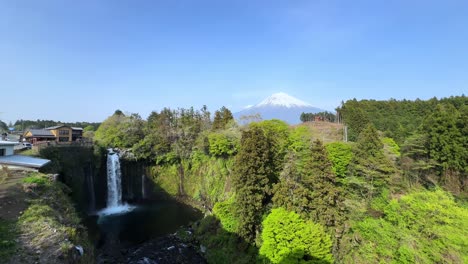 shiraito falls, surrounded by lush greenery with mount fuji in the background