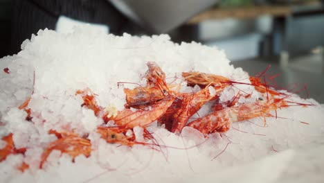 fresh shrimp on ice