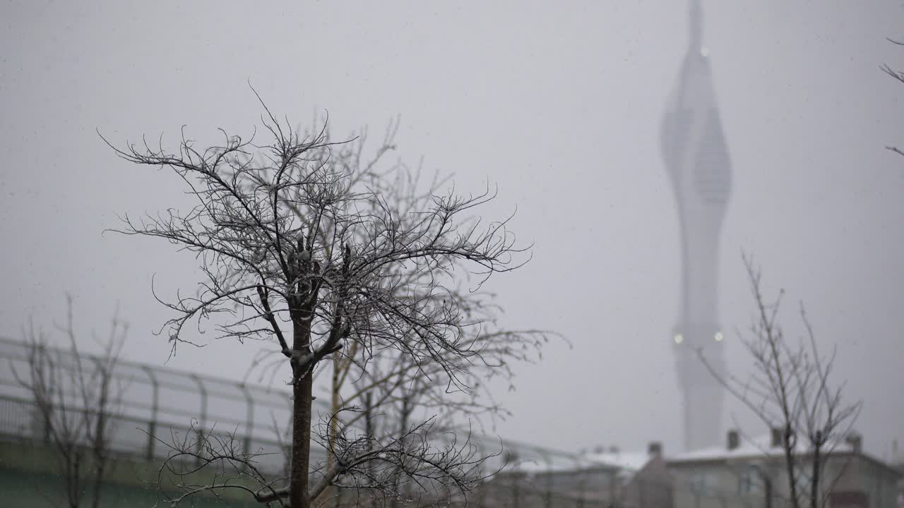 벌거벗은 나무 와 탑 이 있는 눈 인 도시 풍경