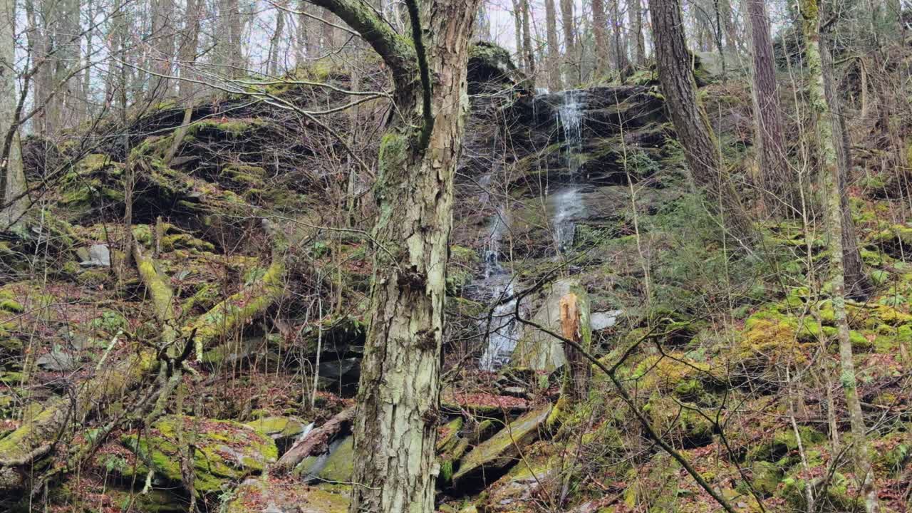 A stunning waterfall high in the Appalachian Mountains during early spring on a rainy day