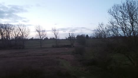 Flying-through-a-remote-field,-leafless-winter-trees