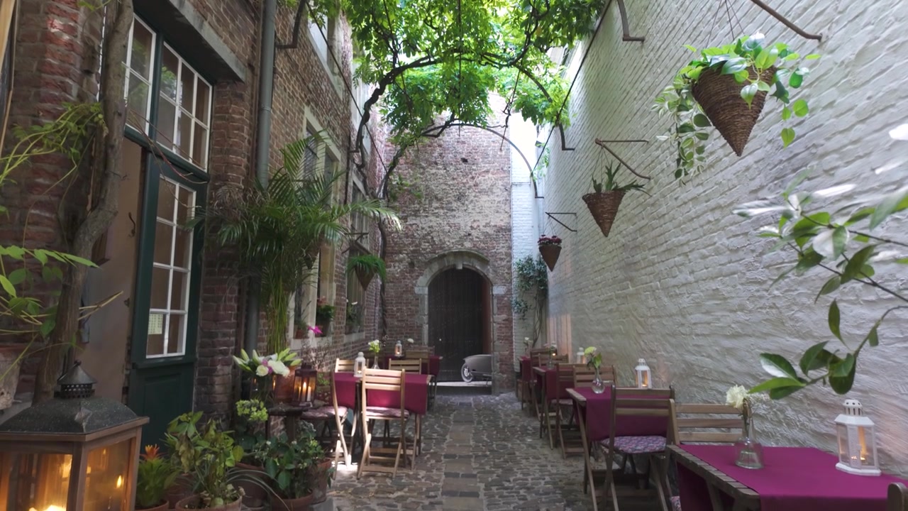 Il vicolo Vlaeykensgang ad Anversa con muri in mattoni, vegetazione e piante pendenti sotto un arco.