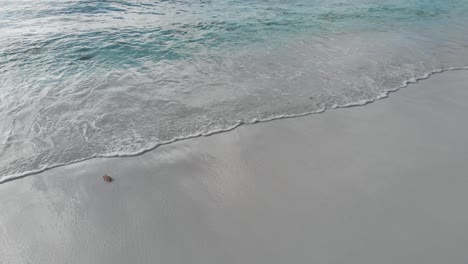 Aerial-view-of-the-white-beaches-and-turquoise-waters-at-Anse-Coco,-Petit-Anse-and-Grand-Anse-on-La-Digue,-an-island-of-the-Seychelles