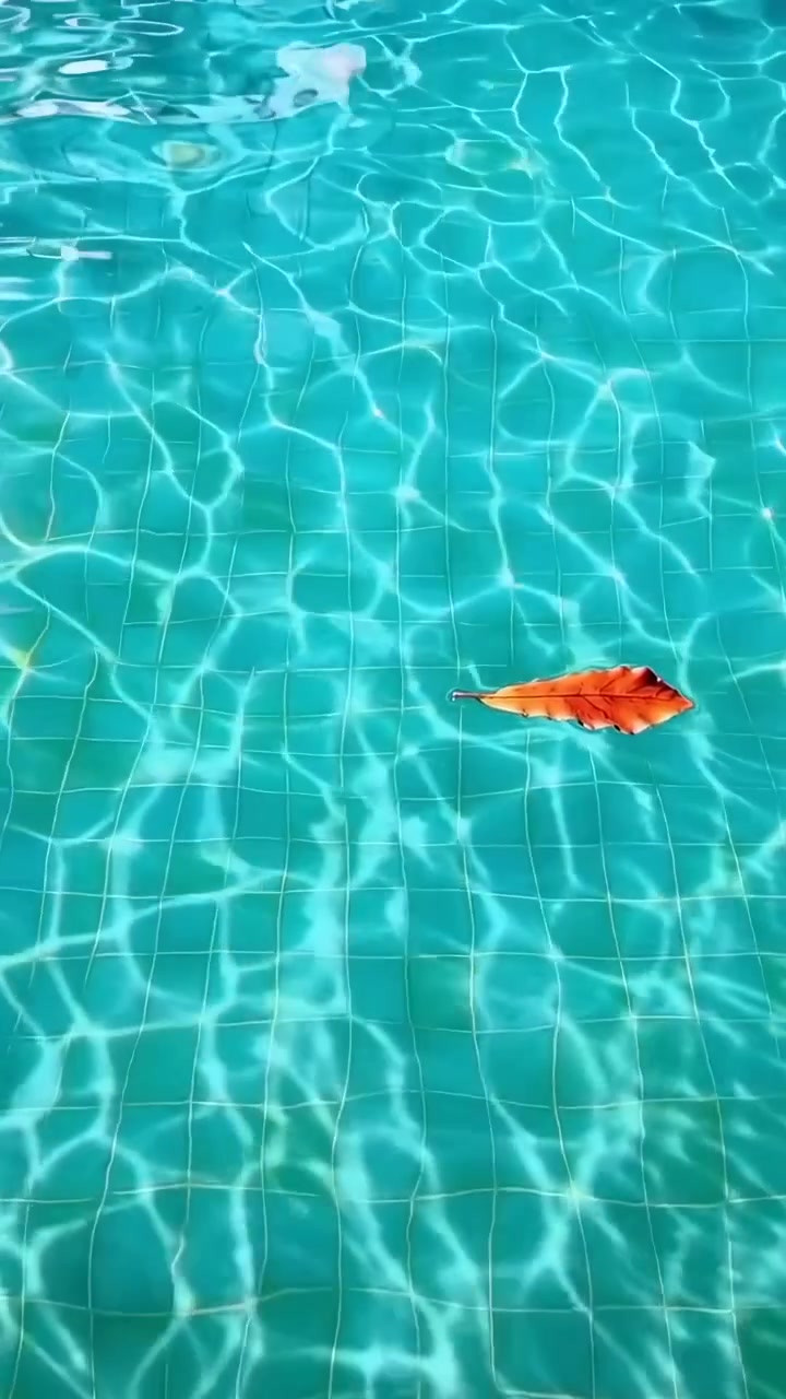 Daun Oranye Kering Mengambang di Air Kolam Renang Biru Jernih