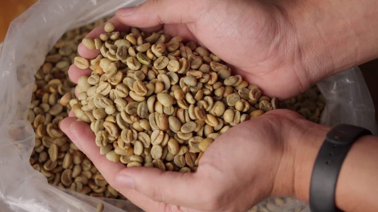 grano de café verde sin tostar, especie de planta de café arábica