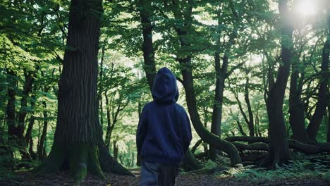 child walking through forest