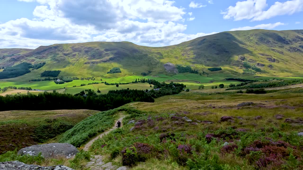 A lone hiker walks uphill on a winding trail through vibrant heather and green hills under bright daylight, with expansive mountain and valley views