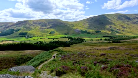 a lone hiker walks uphill on a winding trail through vibrant heather and green hills under bright daylight, with expansive mountain and valley views