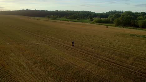 Luftdrohnenansicht-Eines-Mannes,-Der-Nach-Der-Ernte-Auf-Dem-Feld-Geht