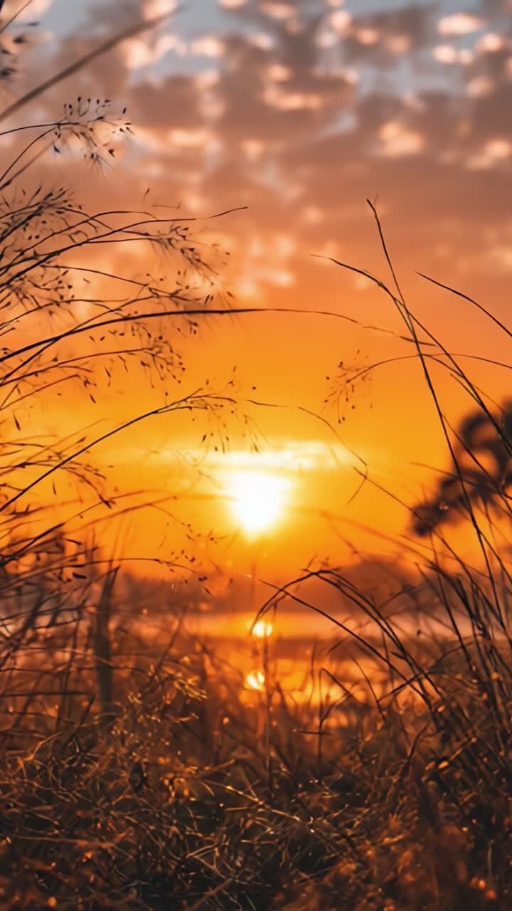 Un tramonto sereno su acque tranquille incorniciato da erba delicata, che cattura la bellezza della natura in un momento di quiete e meraviglia.