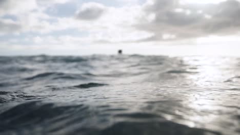 backlit water shot reveal surfer sitting and waiting for next wave