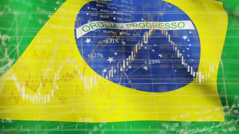 financial data processing against brazil flag waving