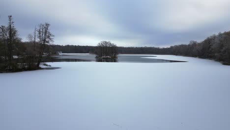 Winter-Schnee-Eis-See-Wald-Wald-Bewölkter-Himmel-Deutschland