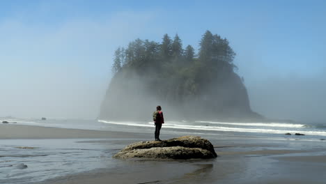 woman standing on rock gazing at ocean waves, sea stack, and fog at second beach