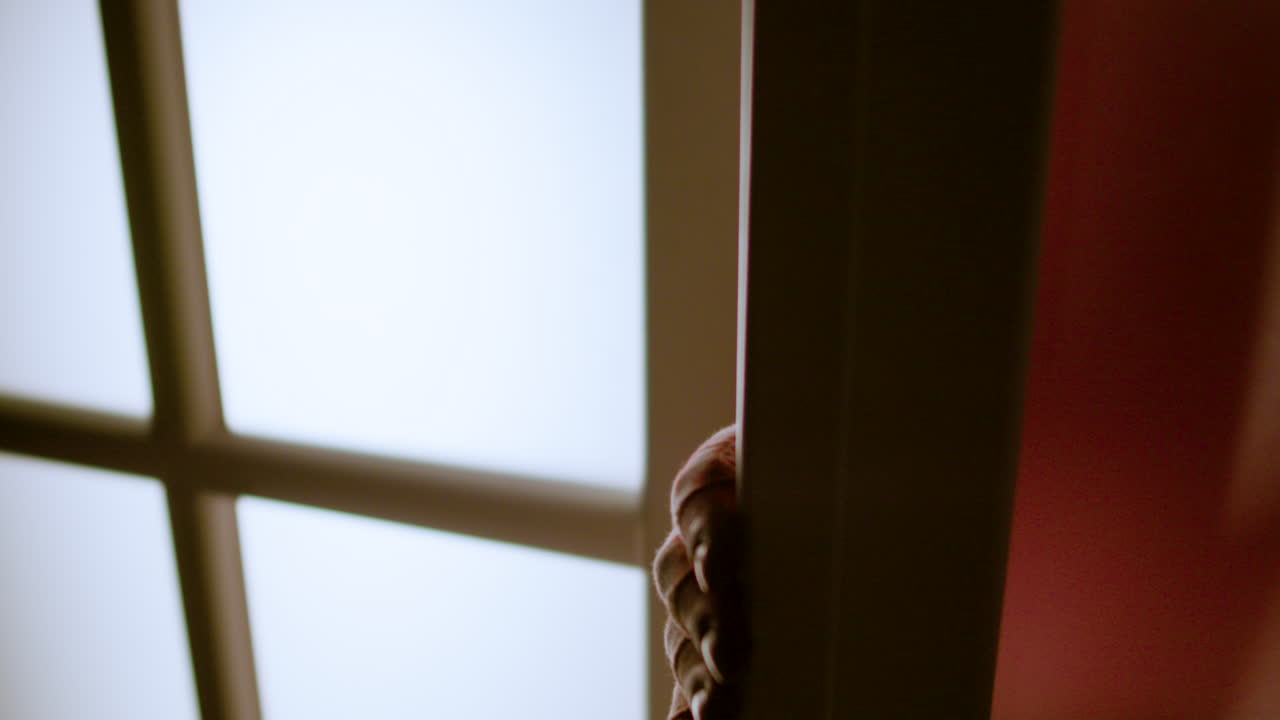 조롱거리가 천천히 문을 열고