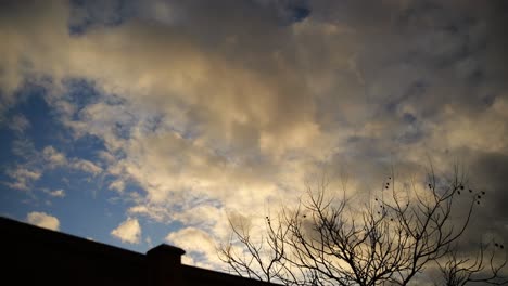 slow moving clouds on evening cloudscape with bare tree branches