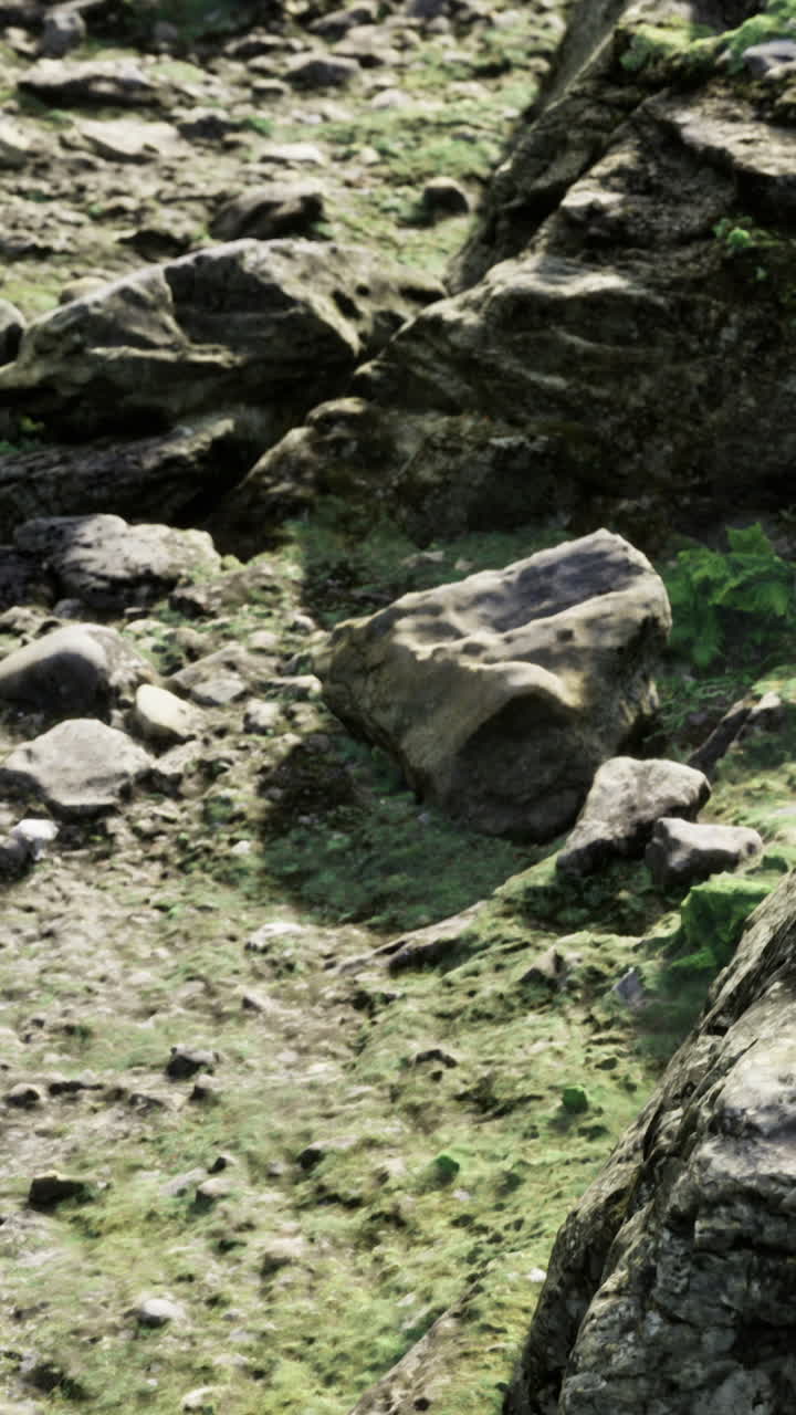 Rocce e muschio sulla riva di un fiume di giorno in un ambiente naturale