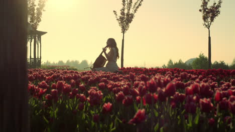 mujer desconocida tocando el violonchelo en el jardín en flor en la primavera. actuación de la niña