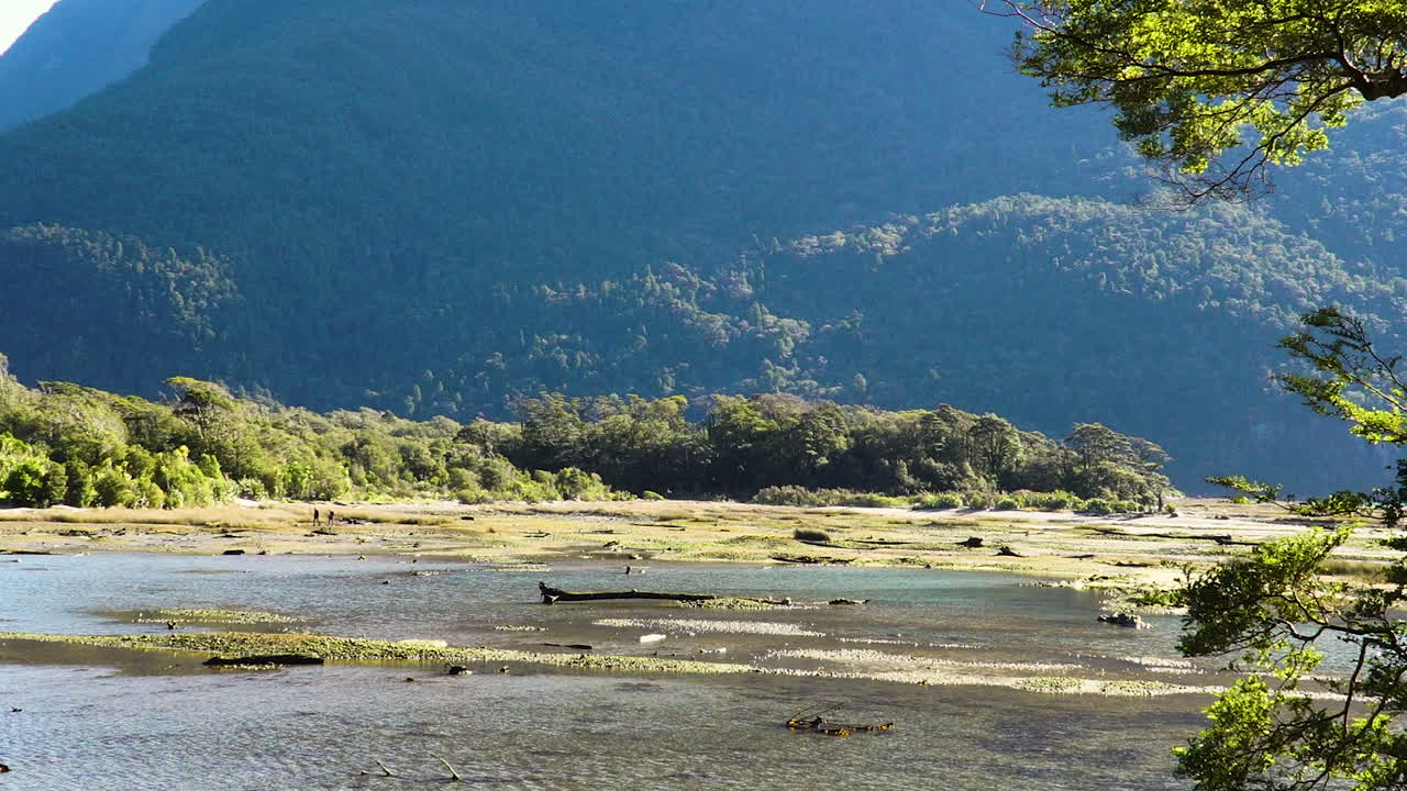 величественное русло реки и лесистая гора в милфорд саунд, уменьшенный вид