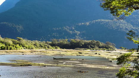 majestuoso cauce del río y montaña forestal en milford sound, alejar la vista