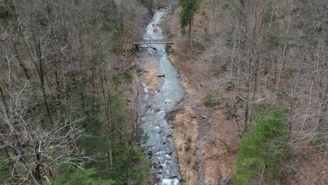 Ascend-between-leafless-tree-forest-canopy-as-water-runs-in-babbling-river