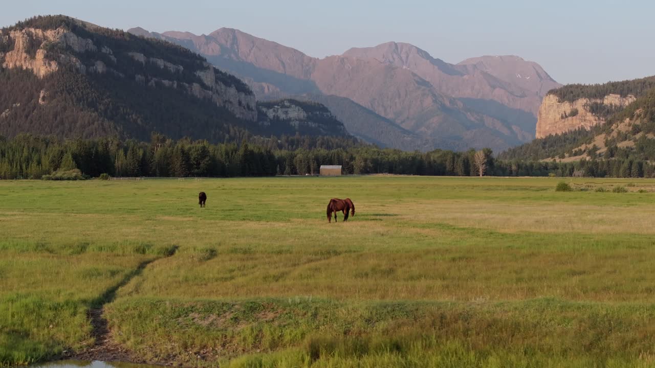 Horses graze in a vast green valley surrounded by mountains at Sunlight Basin, Wyoming