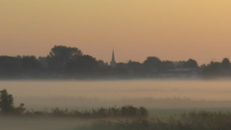 Morgentau-Auf-Einer-Wiese-In-Endlosschleife