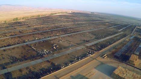 aerial over a vast cattle slaughterhouse in central california 1