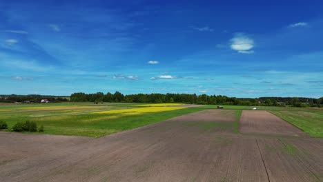 Weites-Ackerland-Unter-Einem-Strahlend-Blauen-Himmel-Mit-Grünen-Flecken-Und-Einer-Entfernten-Baumgrenze