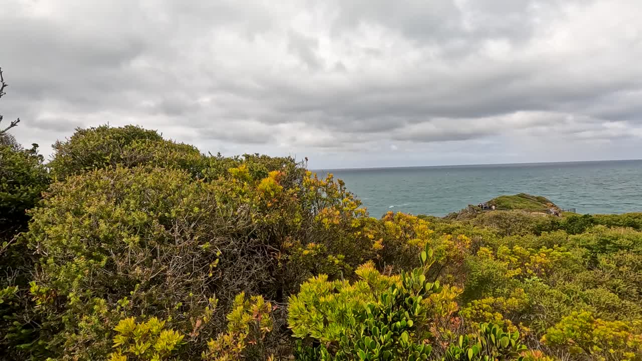 Lush greenery and ocean horizon under cloudy skies, captured at Aireys Inlet, Victoria. Vibrant foliage contrasts with the serene seascape