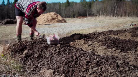 Man-Planting-Sprouted-Sweet-Potato-In-The-Backyard