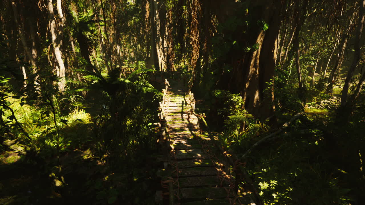 울창 한 정글 에서 원주민 들 이 만든 나무 다리