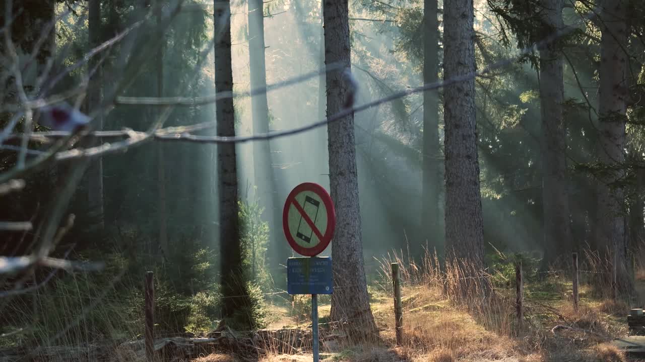 sendero forestal sin señal de teléfono móvil