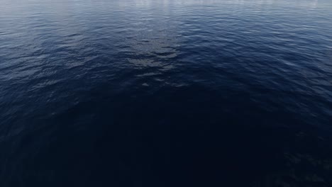 simple sea water 3d animation perspective view