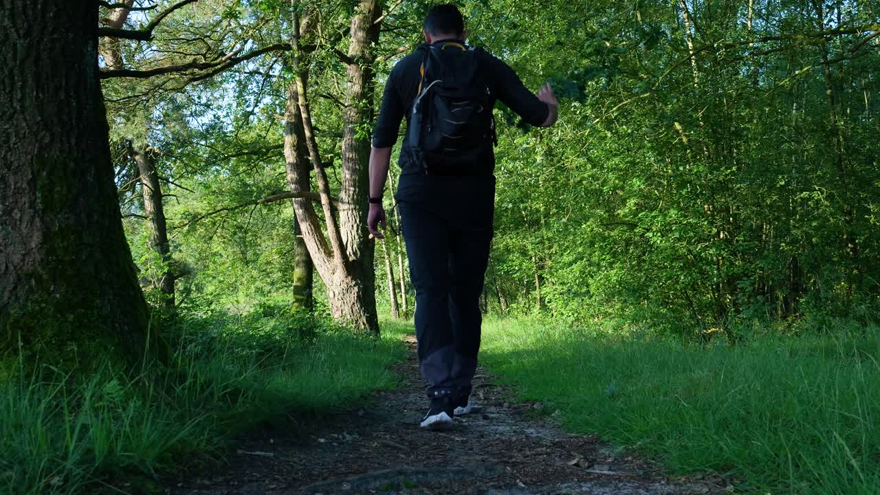 Man Hiking in a Forest Path
