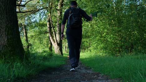 man hiking in a forest path