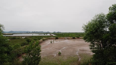 Ein-Schwenk-Nach-Links,-Der-Einen-Blick-Auf-Reisfelder-In-Der-Nähe-Der-Halong-Bucht,-Vietnam,-Mit-Bergen-Im-Hintergrund-Einfängt