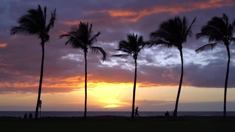 puesta de sol con palmeras en hawaii