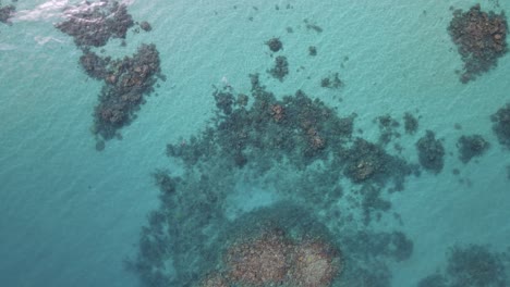 Snorkelers-enjoying-a-swim-on-a-healthy-coral-reef-system-in-The-Great-Barrier-Reef-Marine-Park