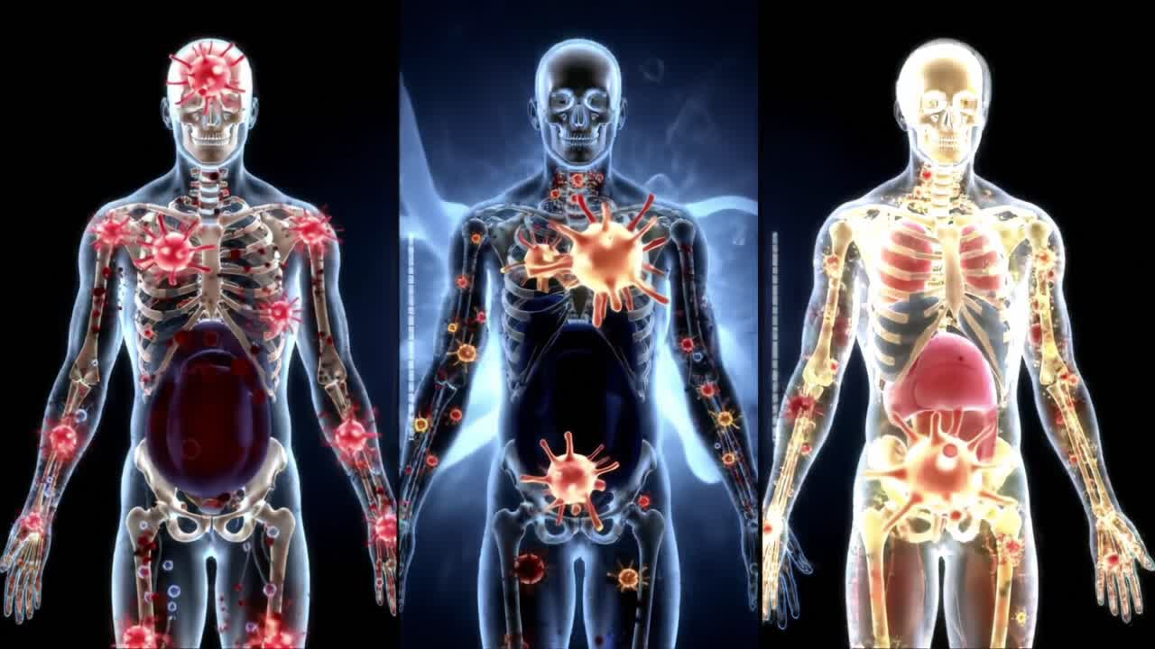 An Intricate Visualization of the Human Body Illustrating Different Biological States and Conditions through Artistic Representations of Health and Disease Progression