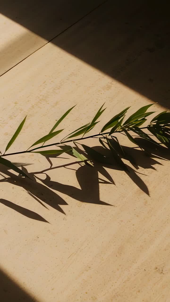 Vertical video: Lying thin branch casting leaf shadows on tile, bright light moving angled shadow