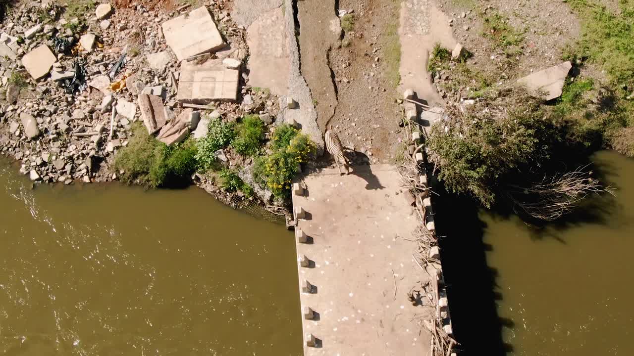 imágenes aéreas de drones del puente de paso de cebra obtener un monitor de agua de miedo