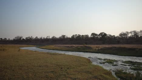 In-a-sweeping-wide-shot,-an-African-river-meanders-majestically-through-the-vast-landscape,-its-waters-reflecting-the-hues-of-the-continent-and-narrating-tales-of-nature's-grandeur