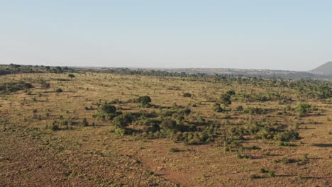 africa aerial drone shot of maasai mara landscape in kenya, beautiful view of vast african scenery, scene high up above flying over trees in wide angle establishing shot of nature escarpment