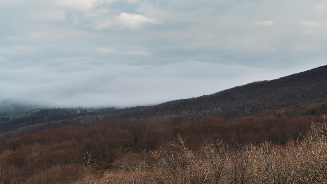 가을 색 숲 패닝 왼쪽 위에 timelapse 구름