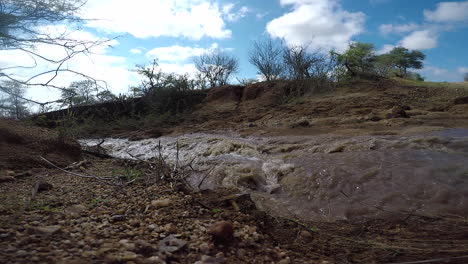 timelapse de un pequeño arroyo que fluye debido a inundaciones repentinas en el gran kruger