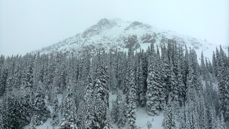 Tiefer-Pulverschnee,-Filmische-Luftaufnahme,-Skigebiet-Colorado-Loveland,-Eisenhower-Tunnel,-Coon-Hill,-Backcountry,-I70,-Schwerer-Winter,-Frühlingsschnee,-Kontinentale-Wasserscheide,-Rocky-Mountains,-Schneedecke,-Kiefern-Nach-Oben