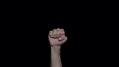 raised fist