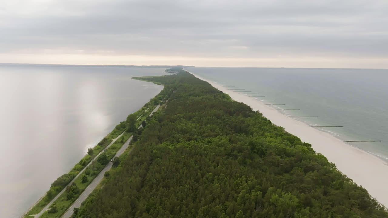 해안 숲과 해변의 공중 사진
